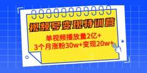 21天视频号变现特训营:单视频播放量2亿+3个月涨粉30w+变现20w+-泰戈创艺资源库