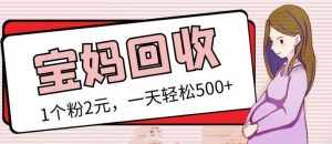 最新小红书母婴号宝妈粉回收项目，1个粉2元，一天轻松500+案例分享【粉丝包回收】-泰戈创艺资源库