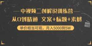 中视频二创解说训练营：从0到精通 文案+标题+素材、月入5000到5W-泰戈创艺资源库