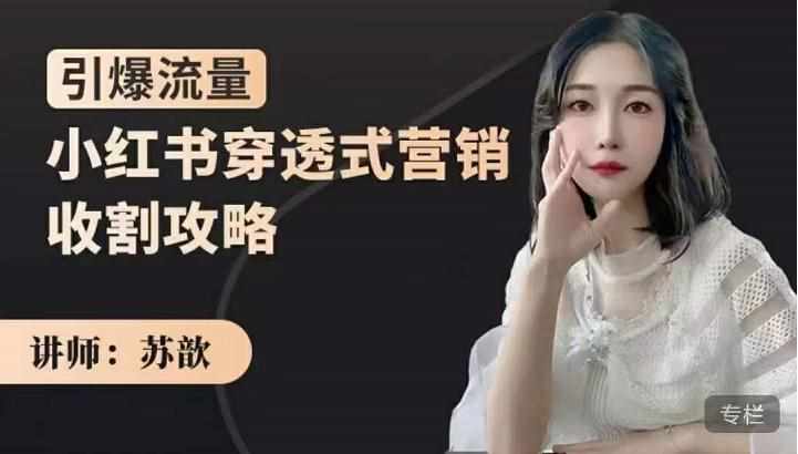 苏歆：小红书穿透式营销收割攻略，引爆流量，助你玩转小红书-泰戈创艺资源库