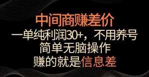 中间商赚差价,一单纯利润30+,简单无脑操作,赚的就是信息差,轻轻松松日入1000+【揭秘】-泰戈创艺资源库