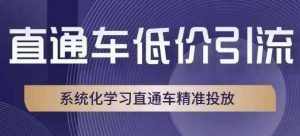 直通车低价引流课,系统化学习直通车精准投放-泰戈创艺资源库