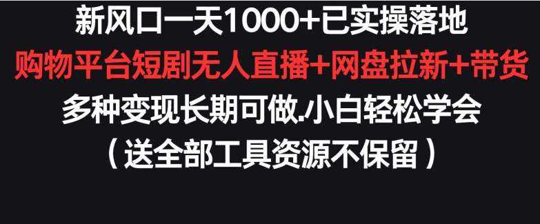新风口一天1000 已实操落地购物平台短剧无人直播 网盘拉新 带货多种变现长期可做【揭秘】-泰戈创艺资源库