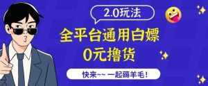 外面收费2980的全平台通用白嫖撸货项目2.0玩法【仅揭秘】-泰戈创艺资源库