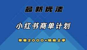 全网首发，小红书商单计划最新玩法，单号2000+可扩大可复制【揭秘】-泰戈创艺资源库