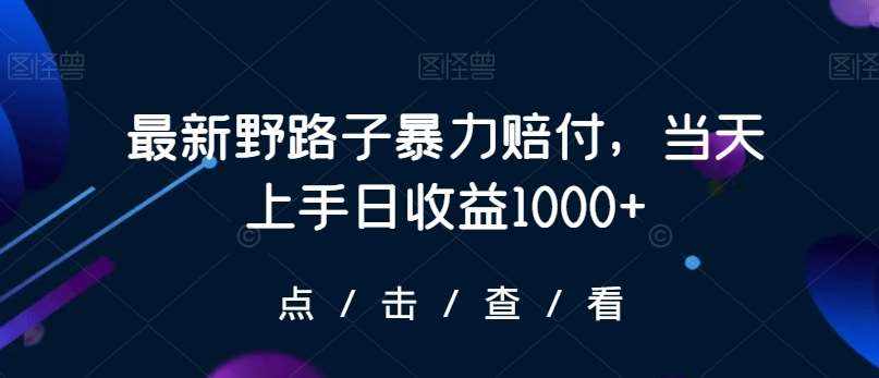 最新野路子暴力赔付，当天上手日收益1000+【仅揭秘】-泰戈创艺资源库