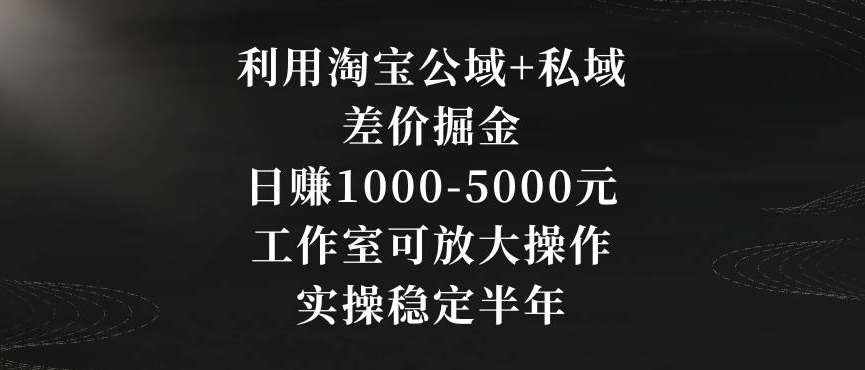 利用淘宝公域+私域差价掘金，日赚1000-5000元，工作室可放大操作，实操稳定半年【揭秘】-泰戈创艺资源库