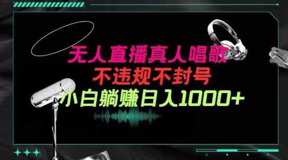 抖音24小时无人直播音乐,不违规,不封号纯撸音浪,小白实操当天日入1000+【揭秘】-泰戈创艺资源库