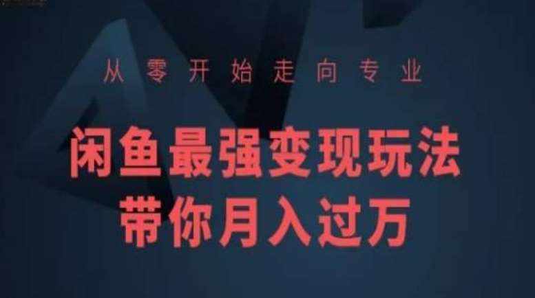 从零开始走向专业，闲鱼最强变现玩法带你月入过万-泰戈创艺资源库