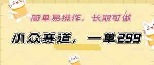 小众赛道,一单299.简单易操作,长期可做【揭秘】-泰戈创艺资源库