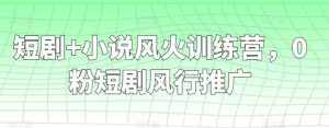 短剧+小说风火训练营，0粉短剧风行推广-泰戈创艺资源库