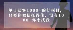 单日获客1000+的好项目，只要你微信扛得住，没有1000+你来找我【揭秘】-泰戈创艺资源库