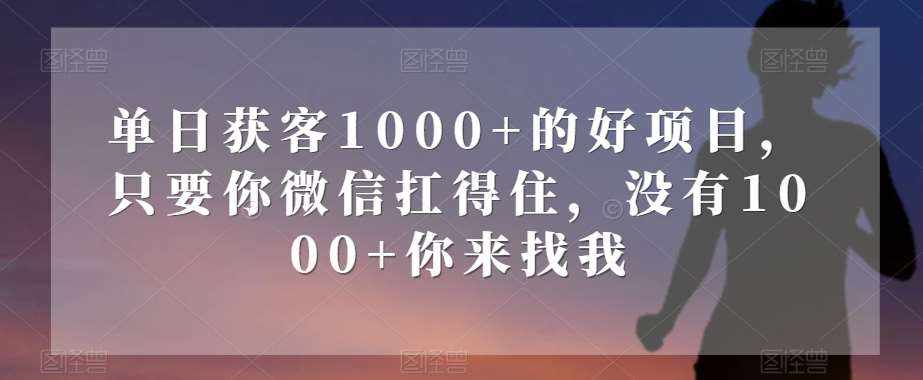 单日获客1000+的好项目，只要你微信扛得住，没有1000+你来找我【揭秘】-泰戈创艺资源库