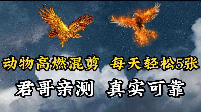 动物超燃混剪，每天轻松5张，剪辑简单大家爱看【揭秘】-泰戈创艺资源库