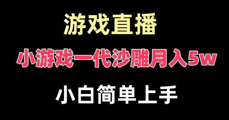 玩小游戏一代沙雕月入5w，爆裂变现，快速拿结果，高级保姆式教学【揭秘】-泰戈创艺资源库
