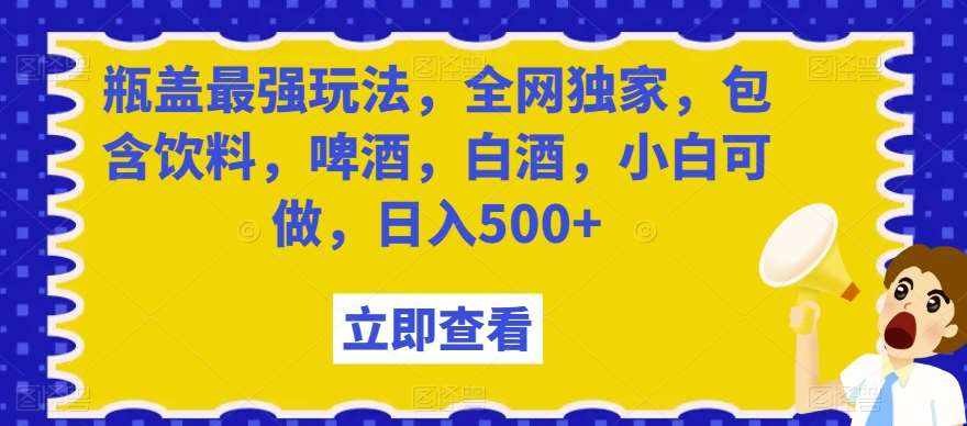 瓶盖最强玩法，全网独家，包含饮料，啤酒，白酒，小白可做，日入500+【揭秘】-泰戈创艺资源库