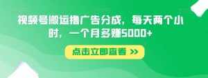 视频号搬运撸广告分成，每天两个小时，一个月多赚5000+-泰戈创艺资源库