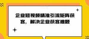 企业短视频精准引流矩阵获客,解决企业获客难题-泰戈创艺资源库