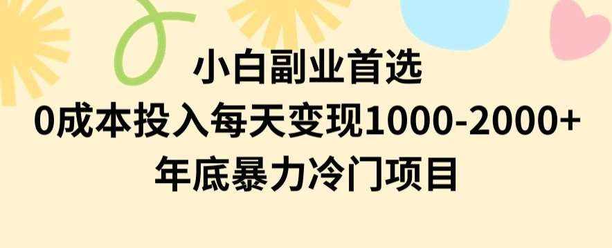 小白副业首选，0成本投入，每天变现1000-2000年底暴力冷门项目【揭秘】-泰戈创艺资源库