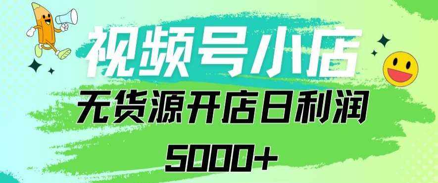 视频号无货源小店从0到1日订单量千单以上纯利润稳稳5000+【揭秘】-泰戈创艺资源库