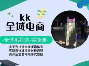 KK全域电商,全体系打造实操课,多平台打造电商逻辑体系-泰戈创艺资源库
