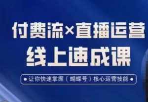 视频号付费流实操课程，付费流✖️直播运营速成课，让你快速掌握视频号核心运营技能-泰戈创艺资源库
