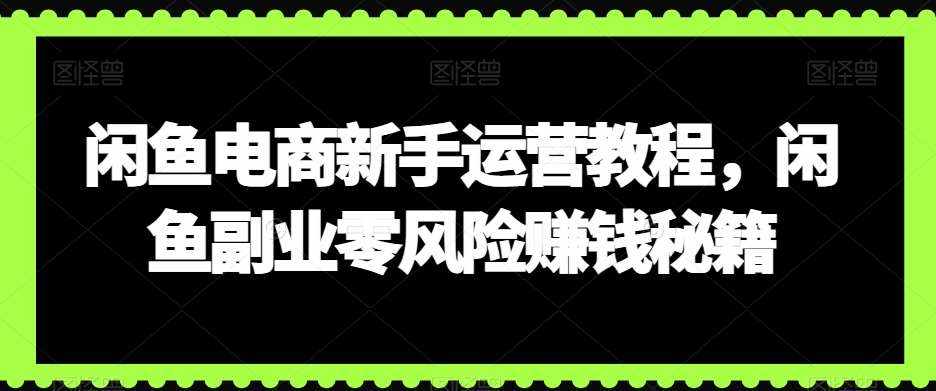 闲鱼电商新手运营教程，闲鱼副业零风险赚钱秘籍-泰戈创艺资源库
