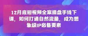 12月底短视频全案操盘手线下课，如何打通自然流量，成为想象级IP必备要素-泰戈创艺资源库