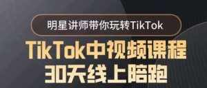 TikTok中视频课程30天线上陪跑,明星讲师带你玩转TikTok-泰戈创艺资源库