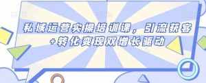 私域运营实操培训课,引流获客+转化变现双增长驱动-泰戈创艺资源库