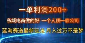 一单利润200私域电商做的好，一个人顶一家公司蓝海赛道最新玩法【揭秘】-泰戈创艺资源库