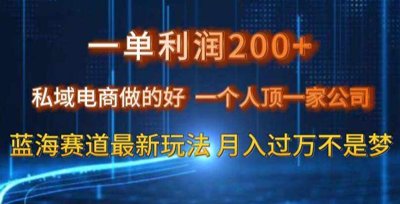 一单利润200私域电商做的好，一个人顶一家公司蓝海赛道最新玩法【揭秘】-泰戈创艺资源库