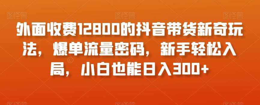 外面收费12800的抖音带货新奇玩法，爆单流量密码，新手轻松入局，小白也能日入300+【揭秘】-泰戈创艺资源库
