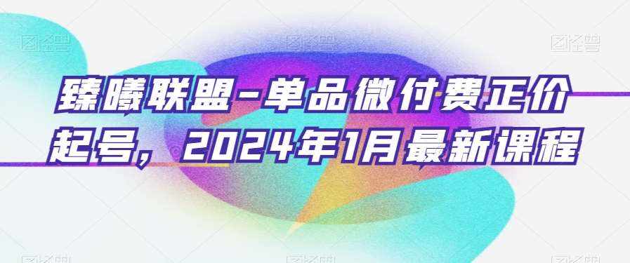 臻曦联盟-单品微付费正价起号，2024年1月最新课程-泰戈创艺资源库