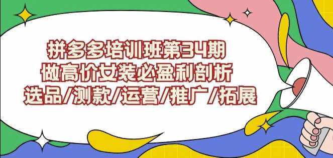 拼多多培训班第34期:做高价女装必盈利剖析选品/测款/运营/推广/拓展-泰戈创艺资源库