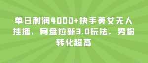 单日利润4000+快手美女无人挂播，网盘拉新3.0玩法，男粉转化超高【揭秘】-泰戈创艺资源库