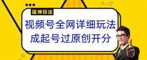 视频号全网最详细玩法,起号过原创开分成,单号日入300+【揭秘】-泰戈创艺资源库