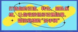 打造你的引流、转化、团队系统,让你收获很多引爆流量、翻倍业绩的“杀手锏”-泰戈创艺资源库