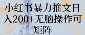 小红书暴力推文日入200+无脑操作可矩阵【揭秘】-泰戈创艺资源库