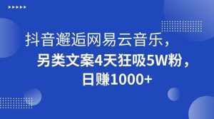 抖音邂逅网易云音乐，另类文案4天狂吸5W粉，日赚1000+【揭秘】-泰戈创艺资源库