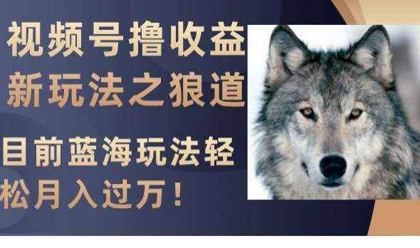 视频号撸收益新玩法之狼道，目前蓝海玩法，轻松月入过万【揭秘】-泰戈创艺资源库