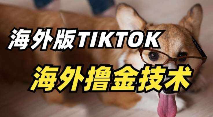 抖音海外版tiktok撸金技术，这个风口行业，赚钱真的不难【揭秘】-泰戈创艺资源库