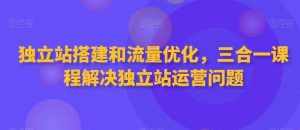 独立站搭建和流量优化，三合一课程解决独立站运营问题-泰戈创艺资源库