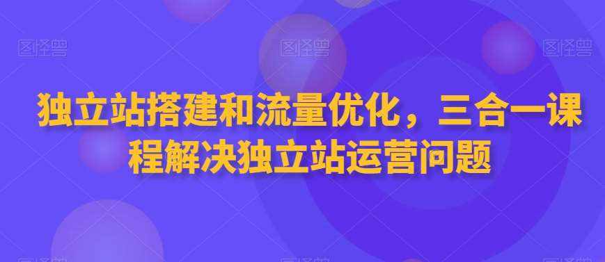 独立站搭建和流量优化，三合一课程解决独立站运营问题-泰戈创艺资源库