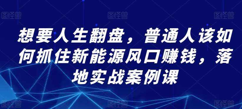 想要人生翻盘，普通人该如何抓住新能源风口赚钱，落地实战案例课-泰戈创艺资源库