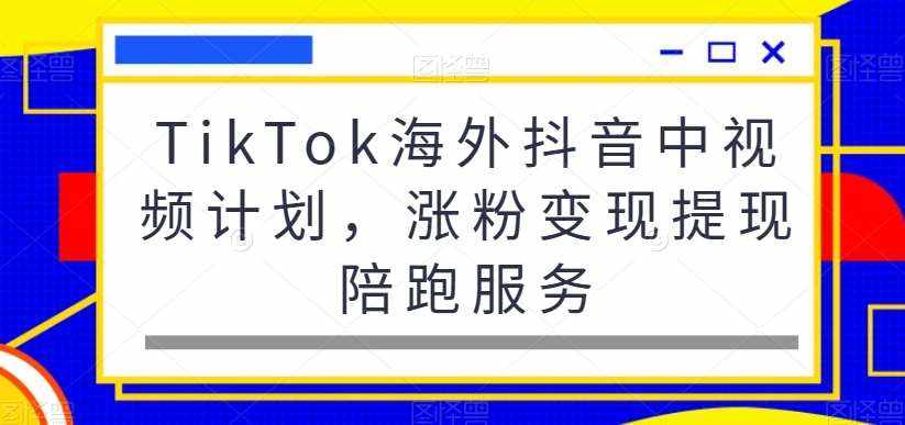 TikTok海外抖音中视频计划，涨粉变现提现陪跑服务-泰戈创艺资源库