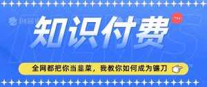 2024最新知识付费项目，小白也能轻松入局，全网都在教你做项目，我教你做镰刀【揭秘】-泰戈创艺资源库
