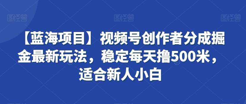 【蓝海项目】视频号创作者分成掘金最新玩法,稳定每天撸500米,适合新人小白【揭秘】-泰戈创艺资源库