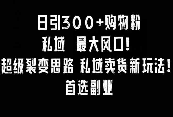 日引300+购物粉,超级裂变思路,私域卖货新玩法,小红书首选副业【揭秘】-泰戈创艺资源库