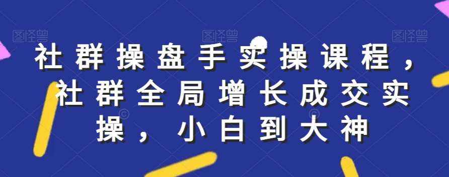 社群实操课程，社群全局增长成交实操，小白到大神-泰戈创艺资源库